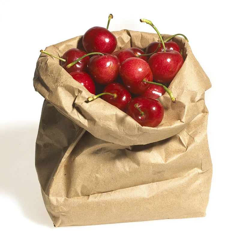 |ノベルティ用品 | クラフト紙製 紙袋バッグ 10枚入