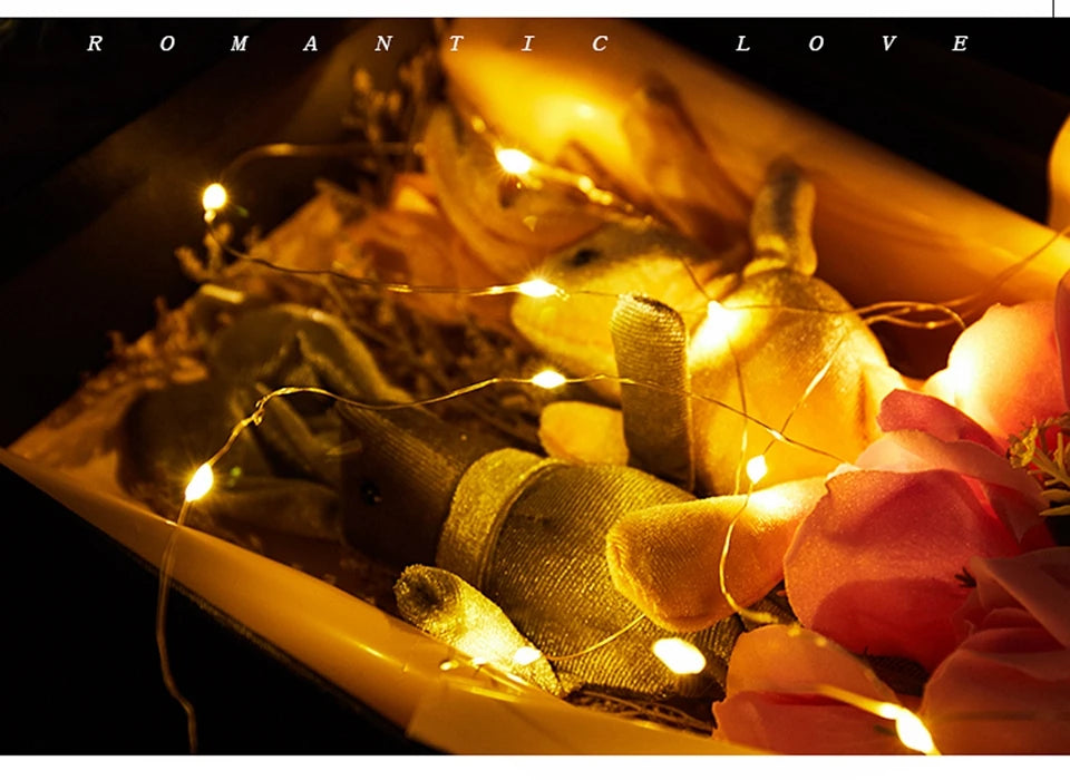 ドレープライト|イベント・クリスマス装飾|LEDストリングライト 銅線(1〜10m )