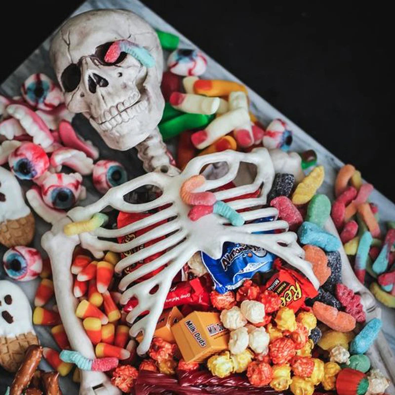 イベント・ハロウィングッズ|全身可動スケルトンデコレーション