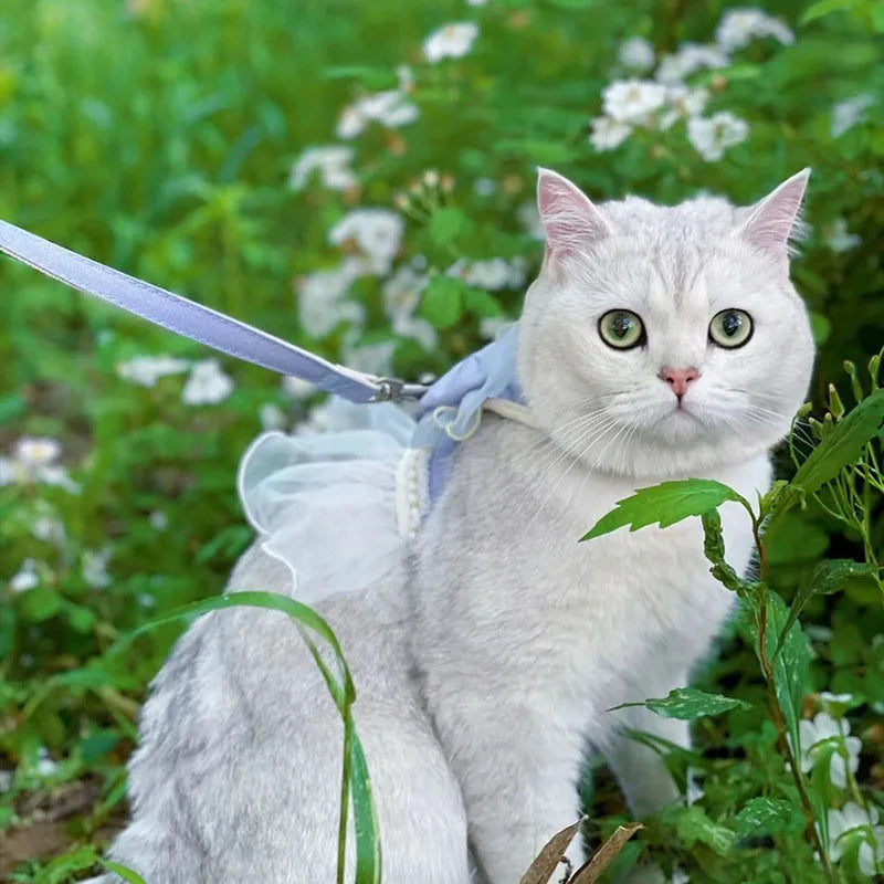 イベント・パーティーグッズ|蝶結びデザインの猫用ハーネスリーシュ