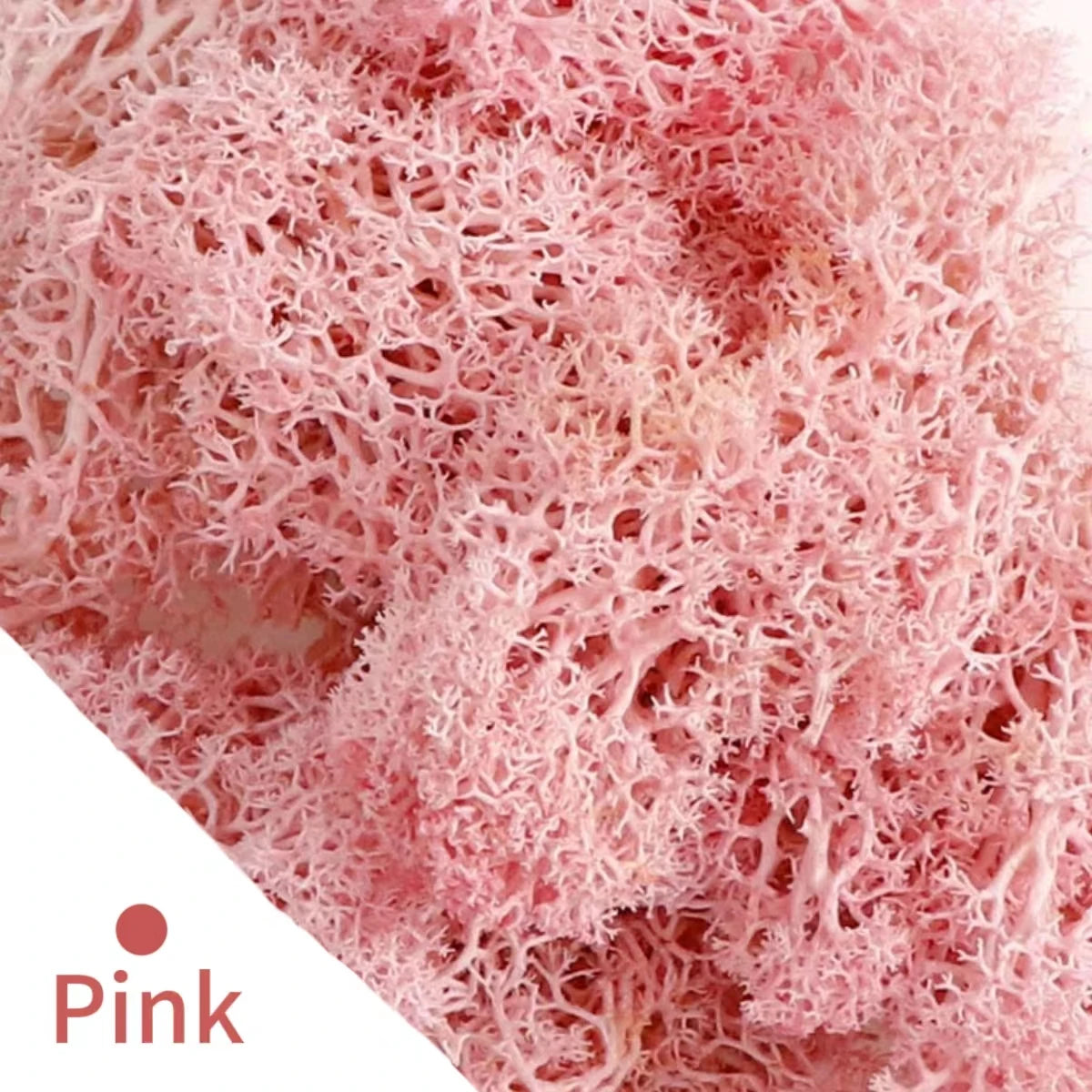 500g・1000g・ミニ風景フェイクグラス・永遠の命