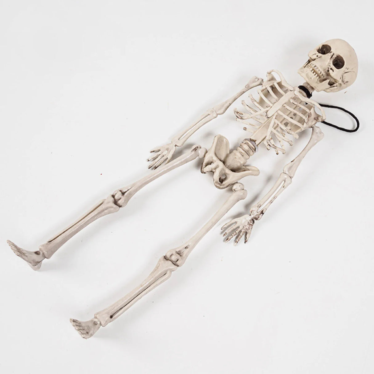 イベント・ハロウィングッズ|70cm ホラー スケルトン