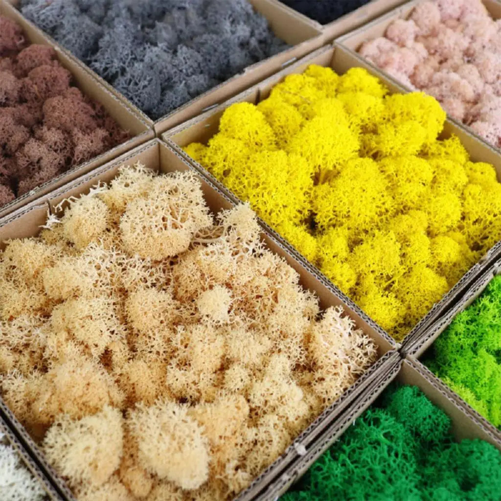 500g・1000g・ミニ風景フェイクグラス・永遠の命