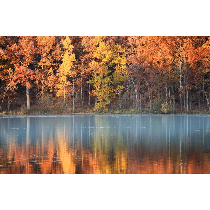 イベント・ハロウィングッズ|秋の風景キャンバスアート