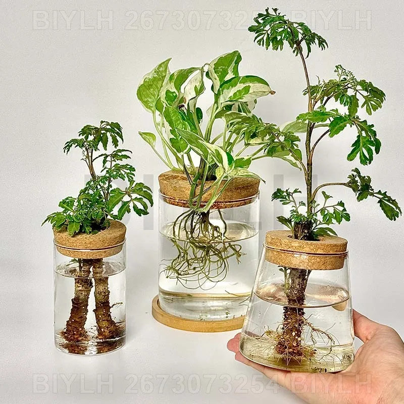 水耕栽培用ガラス花瓶・植物栽培用・ホームデコレーション・デスクトップデコレーション