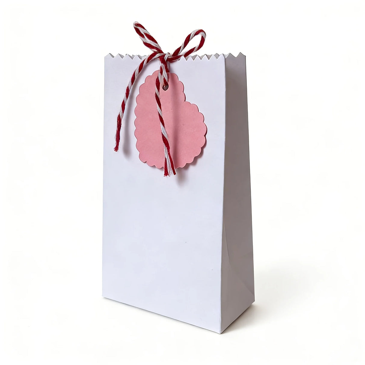 DIY用クラフト紙箱セット10個(紐・タグ付)