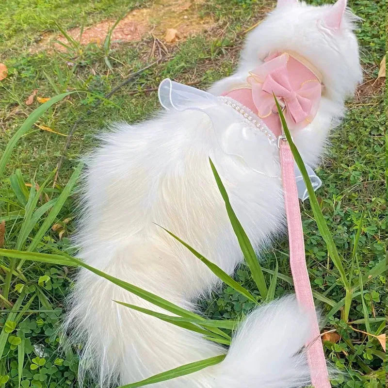 イベント・パーティーグッズ|蝶結びデザインの猫用ハーネスリーシュ