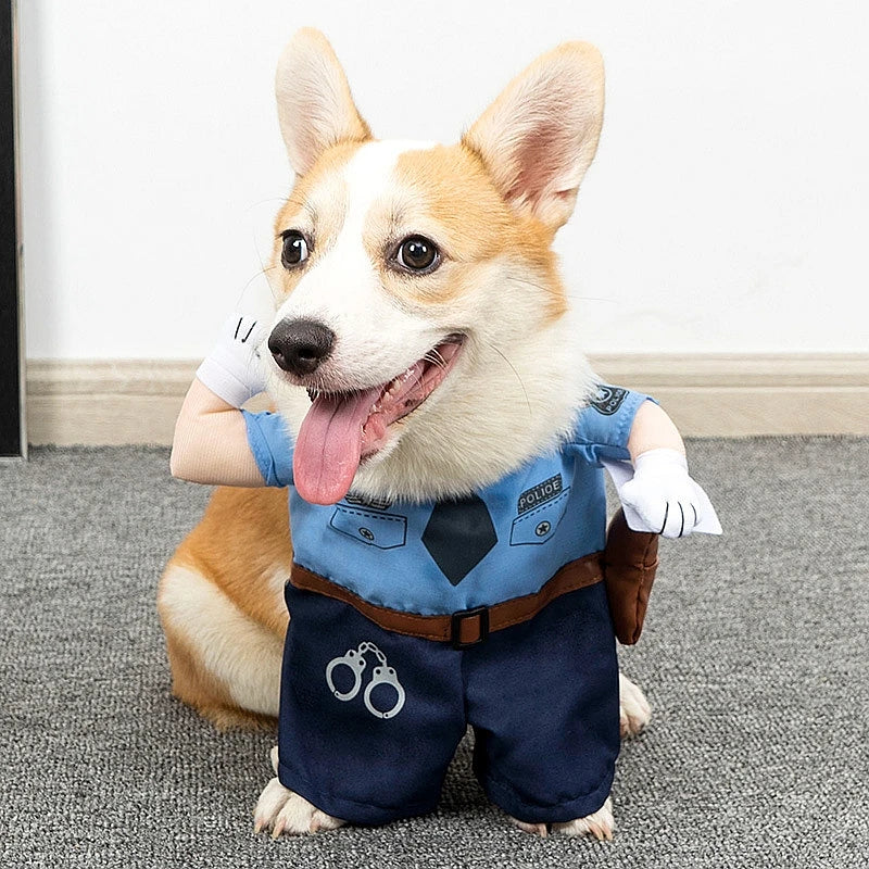 イベント・ハロウィングッズ|ペット用コスチュームドレス