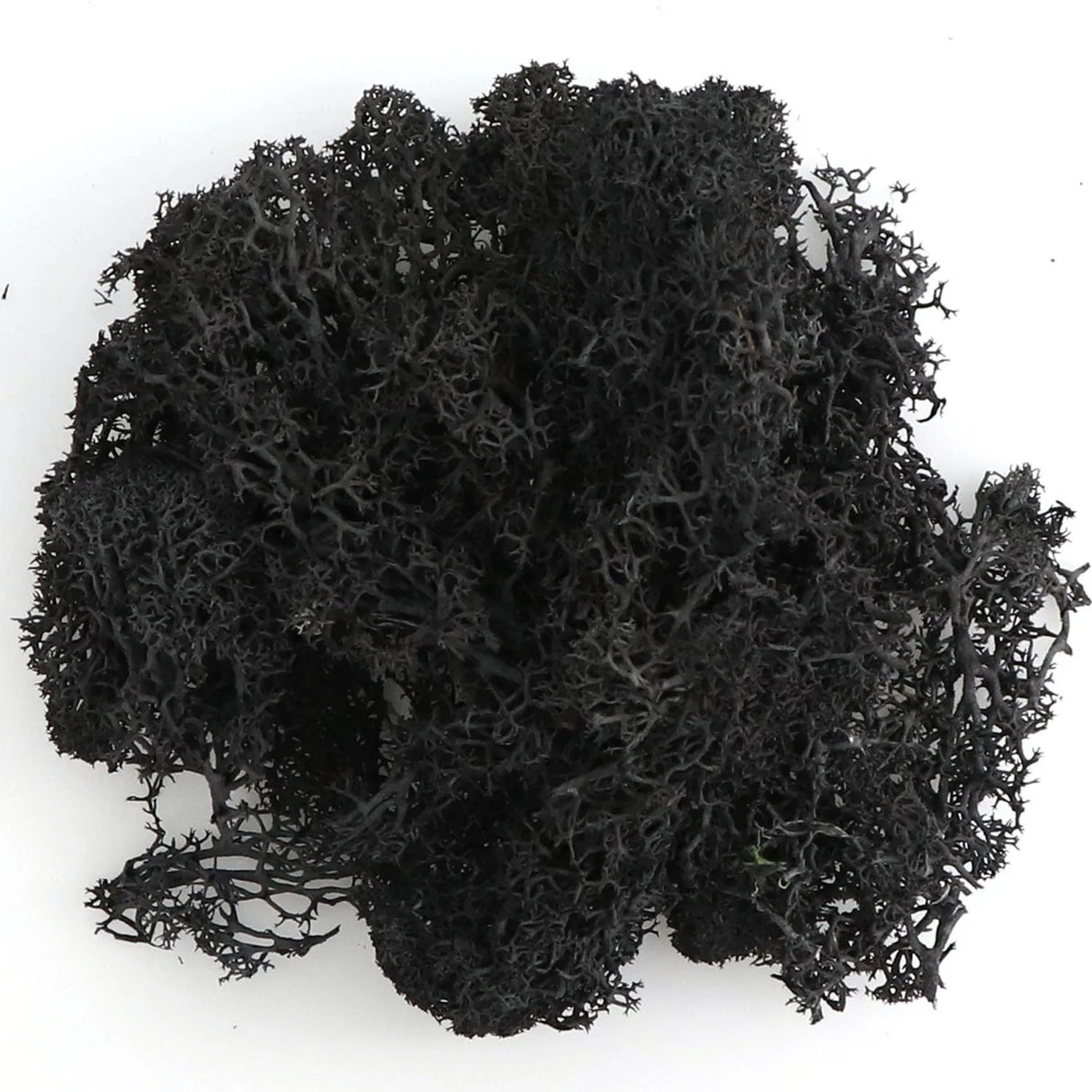 500g・1000g・ミニ風景フェイクグラス・永遠の命