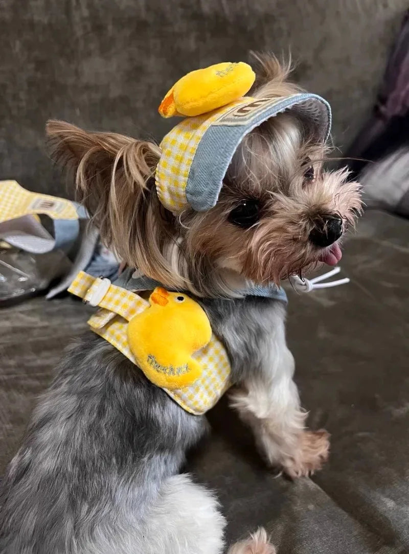 小型・中型犬用ペットハーネスリーシュセット