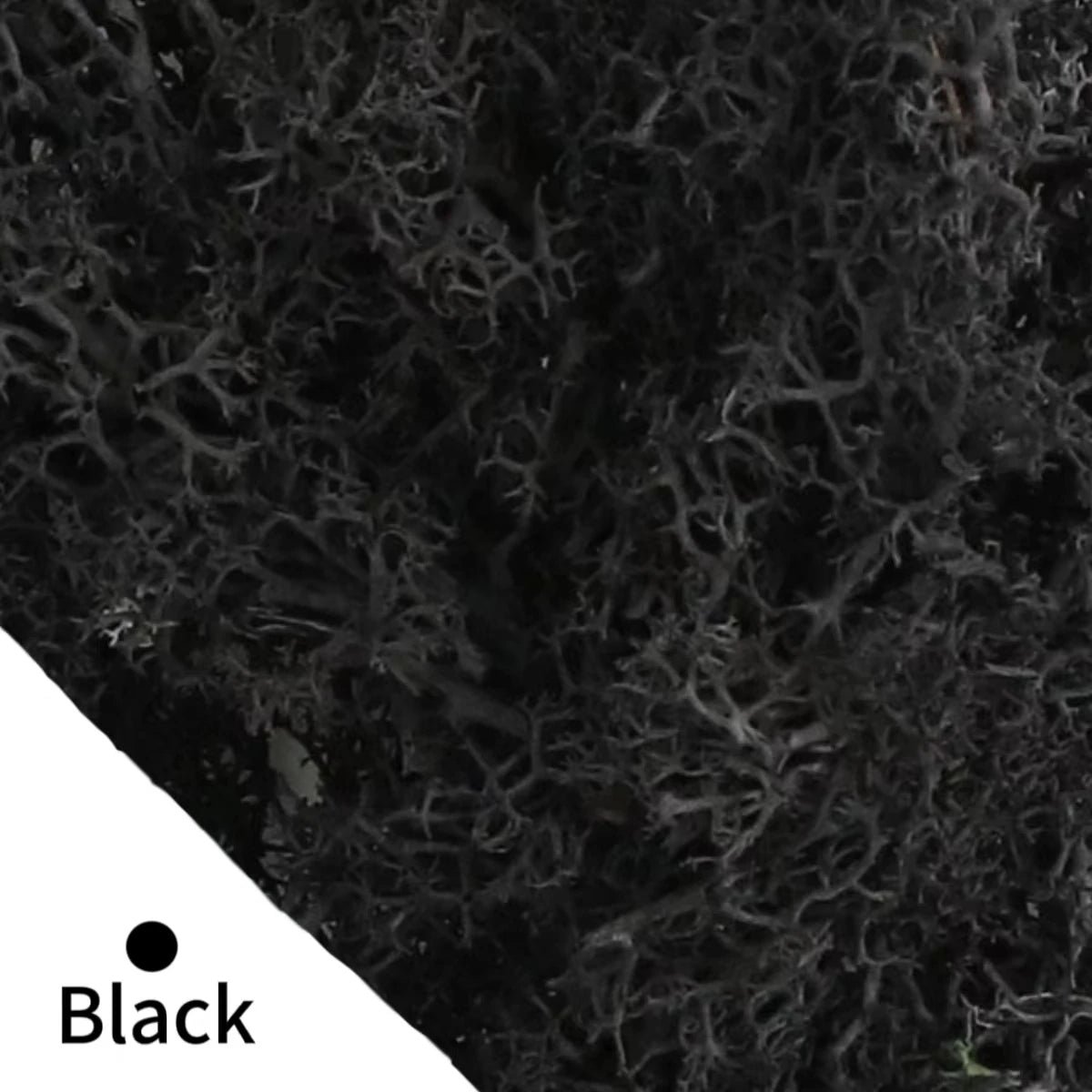 500g・1000g・ミニ風景フェイクグラス・永遠の命