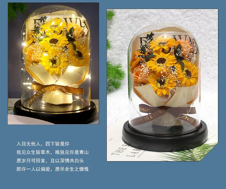 星空ガラスカバーの永遠のバラ