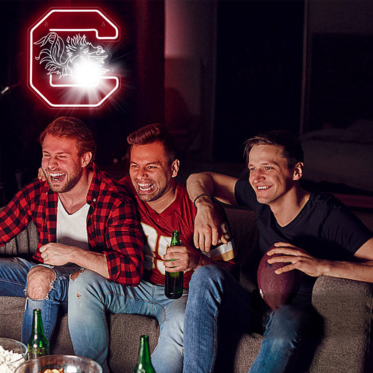 サウスカロライナ大学 LEDネオンサイン(ネオン看板)