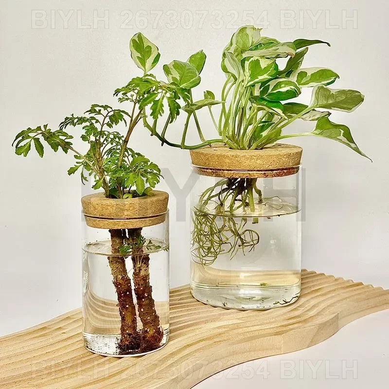 水耕栽培用ガラス花瓶・植物栽培用・ホームデコレーション・デスクトップデコレーション