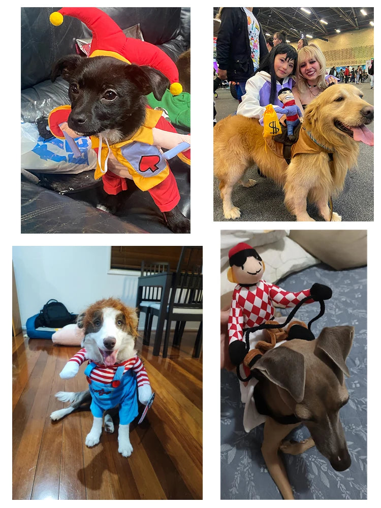 イベント・ハロウィングッズ|犬用乗馬コスチューム