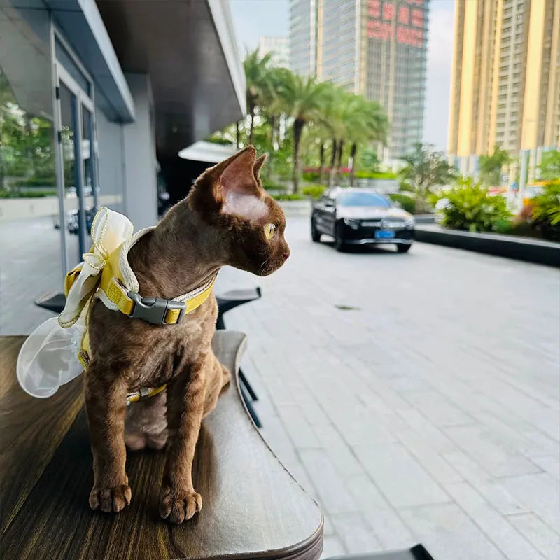 イベント・パーティーグッズ|蝶結びデザインの猫用ハーネスリーシュ