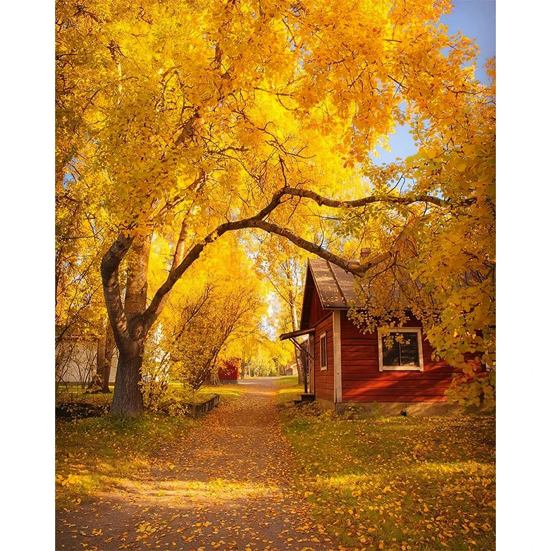 イベント・ハロウィングッズ|秋の風景キャンバスアート