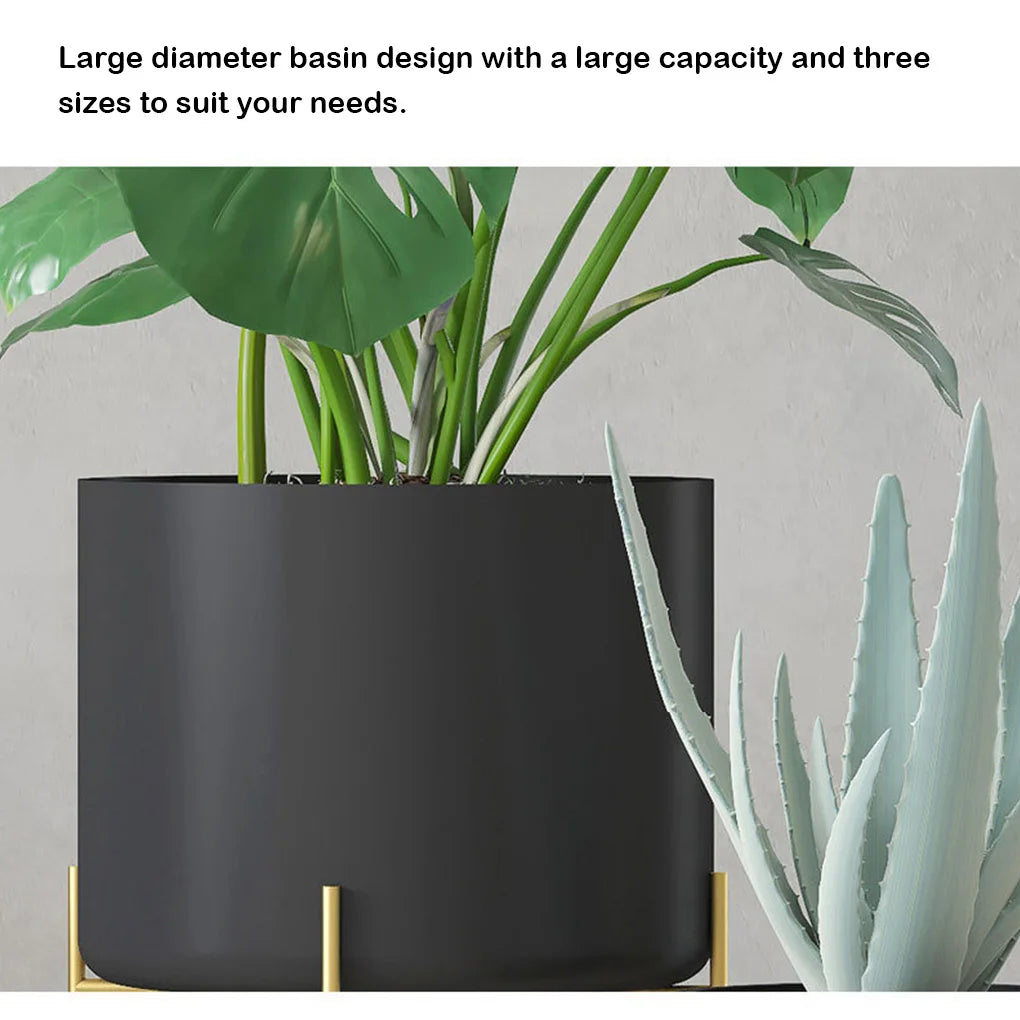 ゴールドプラントスタンド・ポットライト付き・高級ラック・フロアタイプ