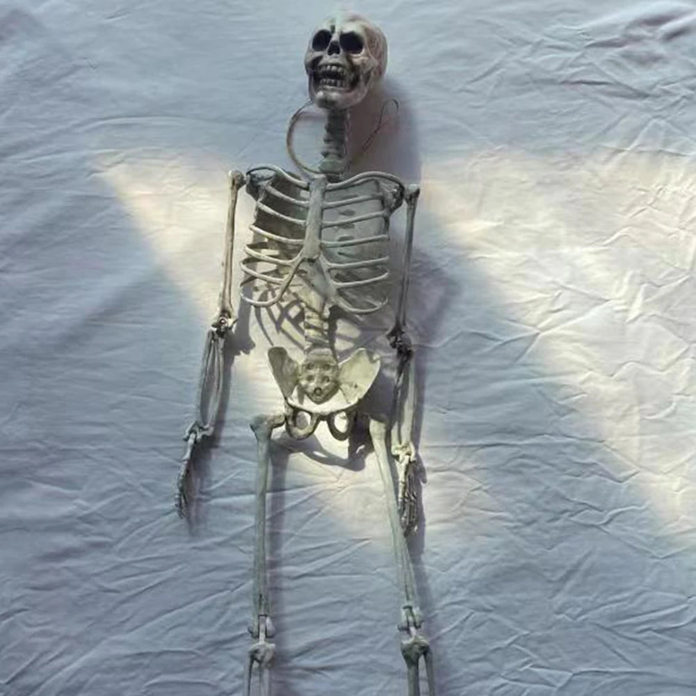 イベント・ハロウィングッズ|可動式頭蓋骨スケルトン像