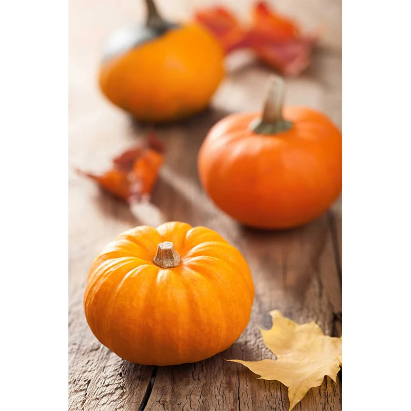 イベント・ハロウィングッズ|秋の風景キャンバスアート