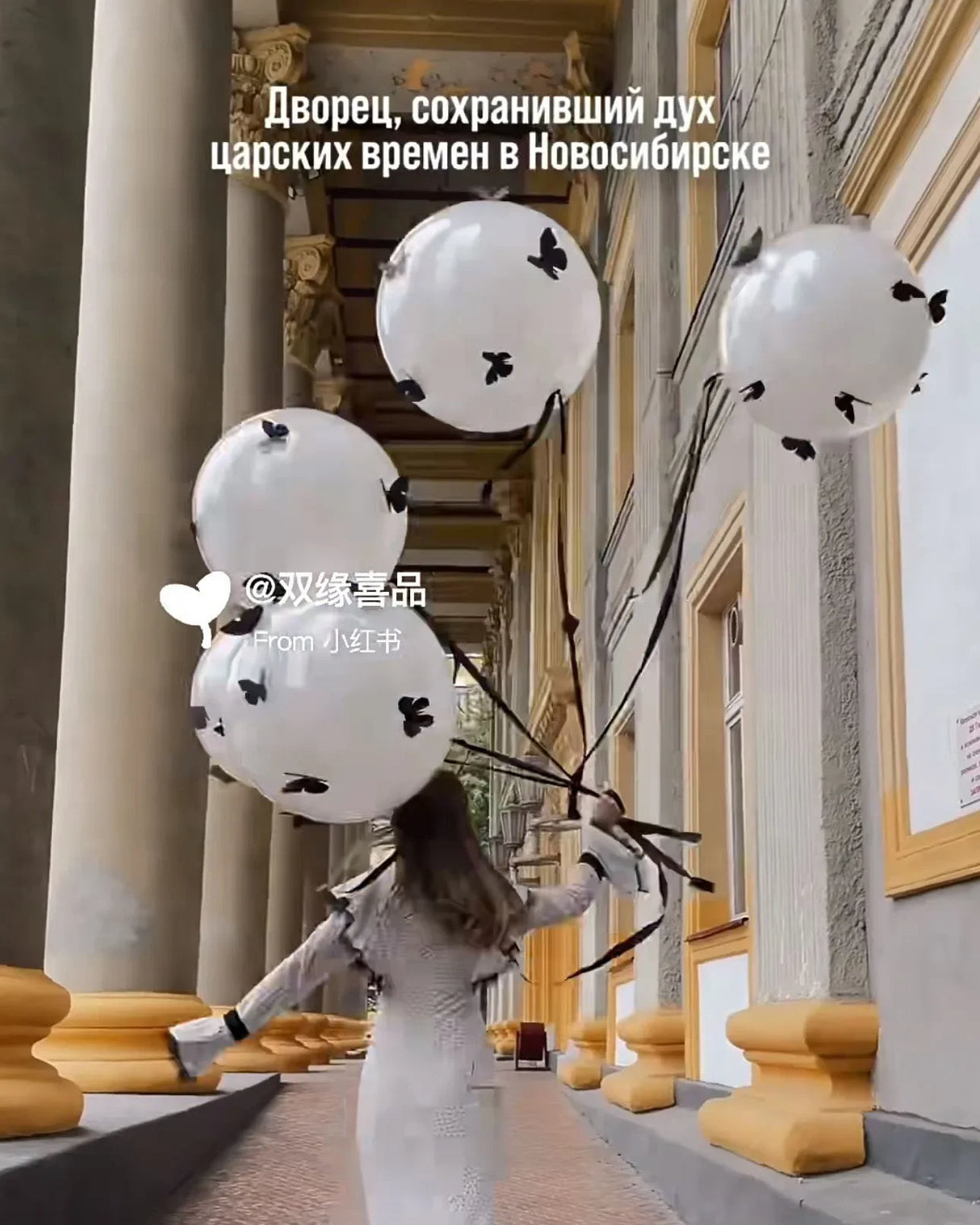 イベント・バルーン装飾 |リボン付きバルーンセット| 5個