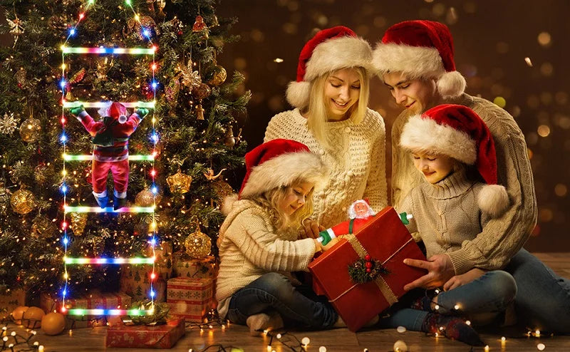 イベント・パーティー装飾|LEDクリスマス装飾セット はしご&サンタ(1.7M)