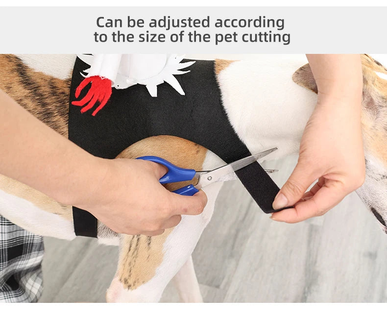 イベント・ハロウィングッズ|大型犬用ライダーコスチューム