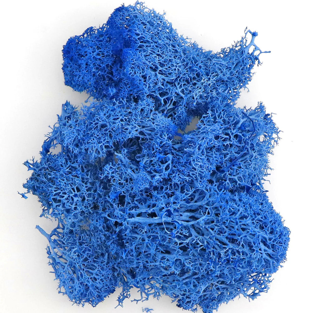 500g・1000g・ミニ風景フェイクグラス・永遠の命