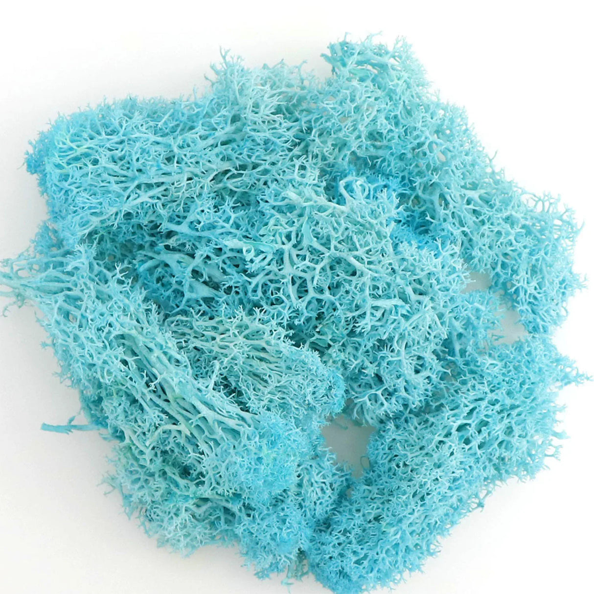 500g・1000g・ミニ風景フェイクグラス・永遠の命