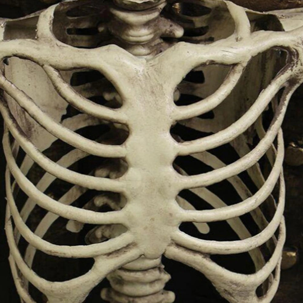 イベント・ハロウィングッズ|可動式頭蓋骨スケルトン像