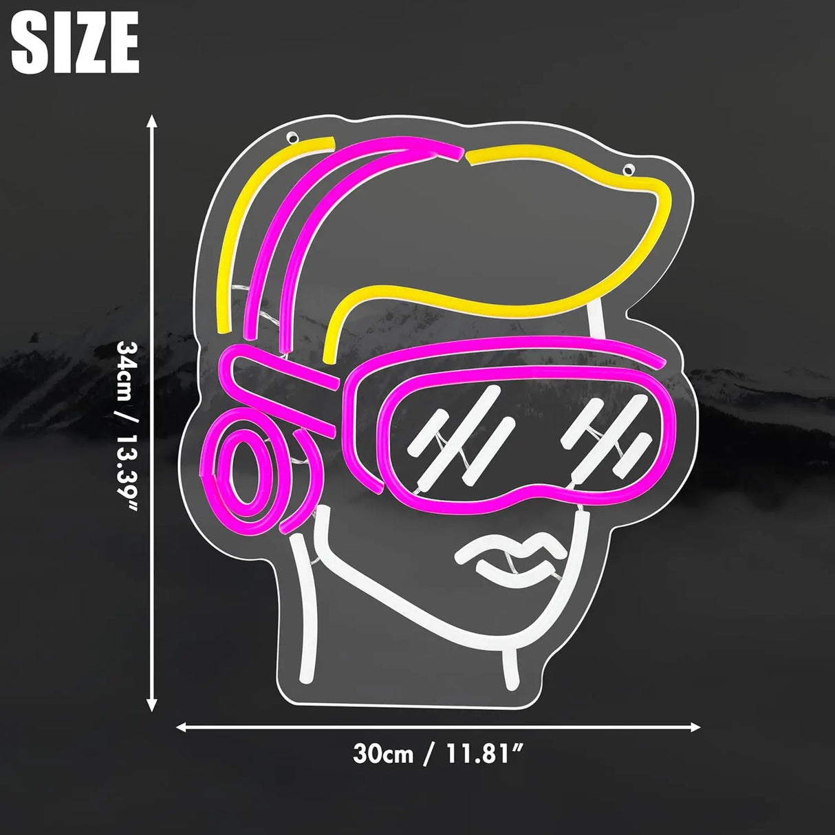 LEDネオンサイン(ネオン看板) ゲームルーム用 調光可能