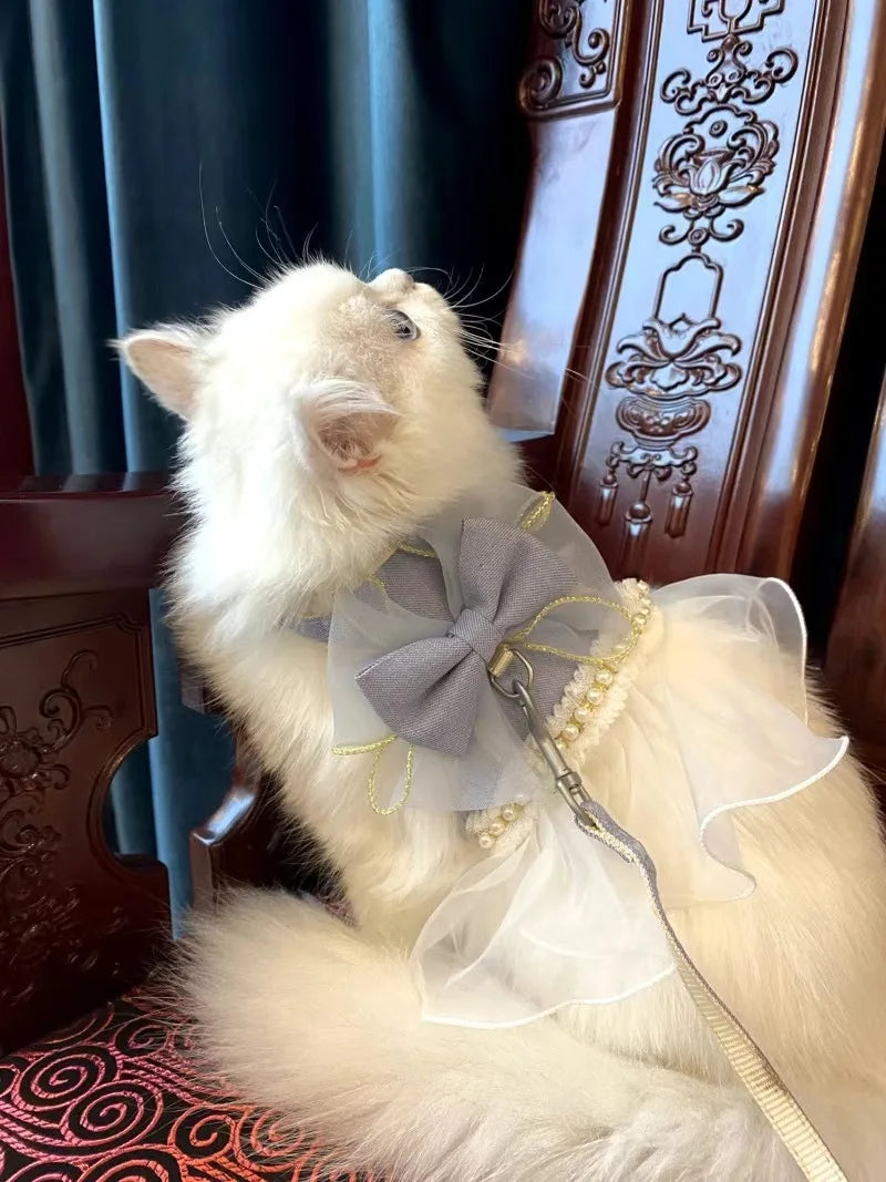 イベント・パーティーグッズ|蝶結びデザインの猫用ハーネスリーシュ