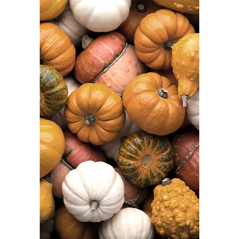 イベント・ハロウィングッズ|秋の風景キャンバスアート