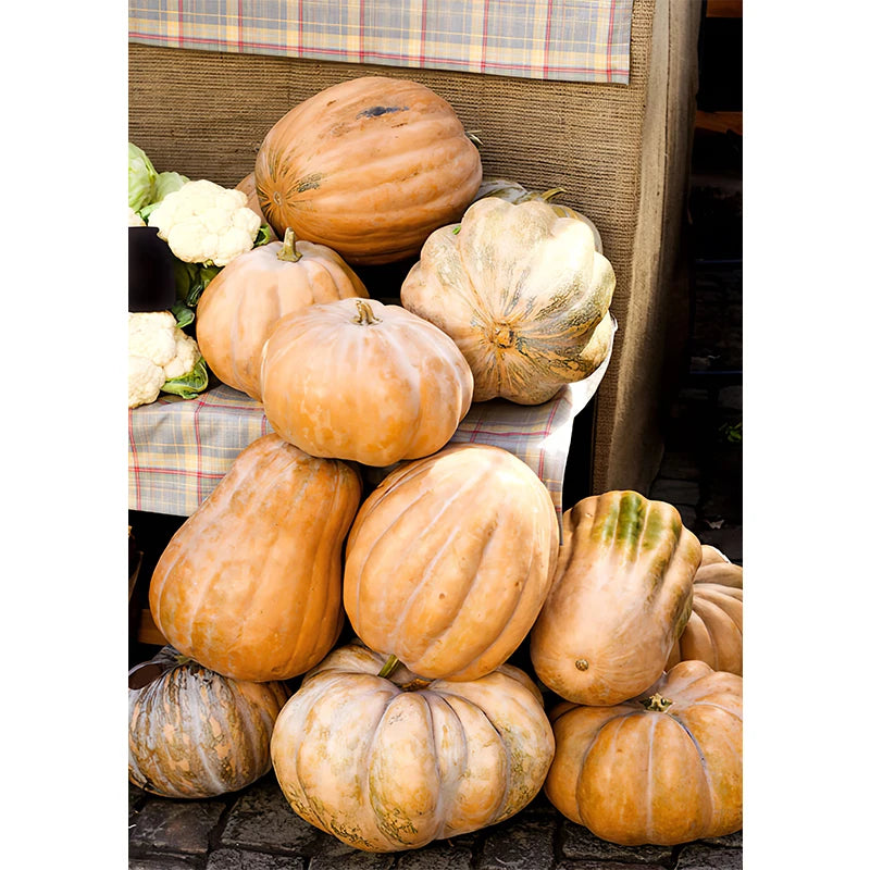 イベント・ハロウィングッズ|秋の風景キャンバスアート