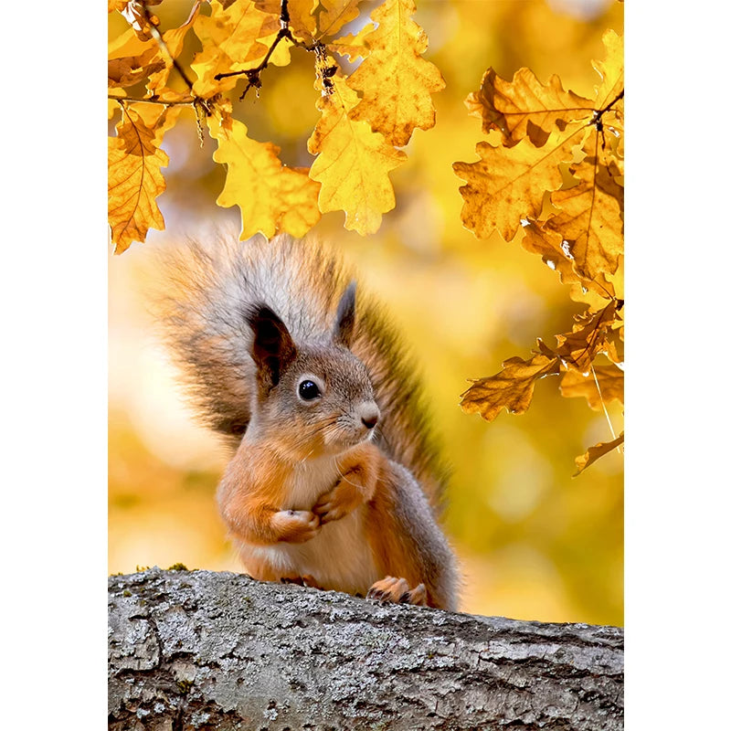 イベント・ハロウィングッズ|秋の風景キャンバスアート