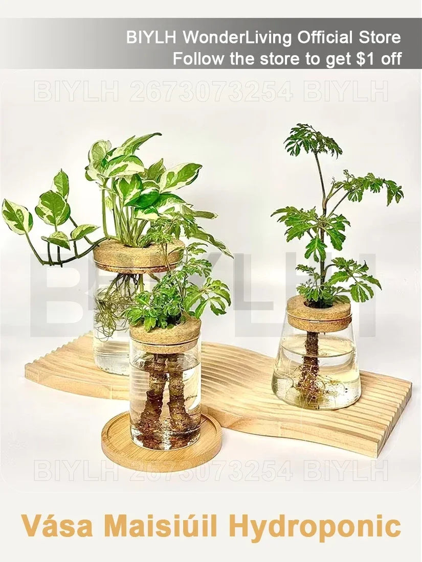 水耕栽培用ガラス花瓶・植物栽培用・ホームデコレーション・デスクトップデコレーション