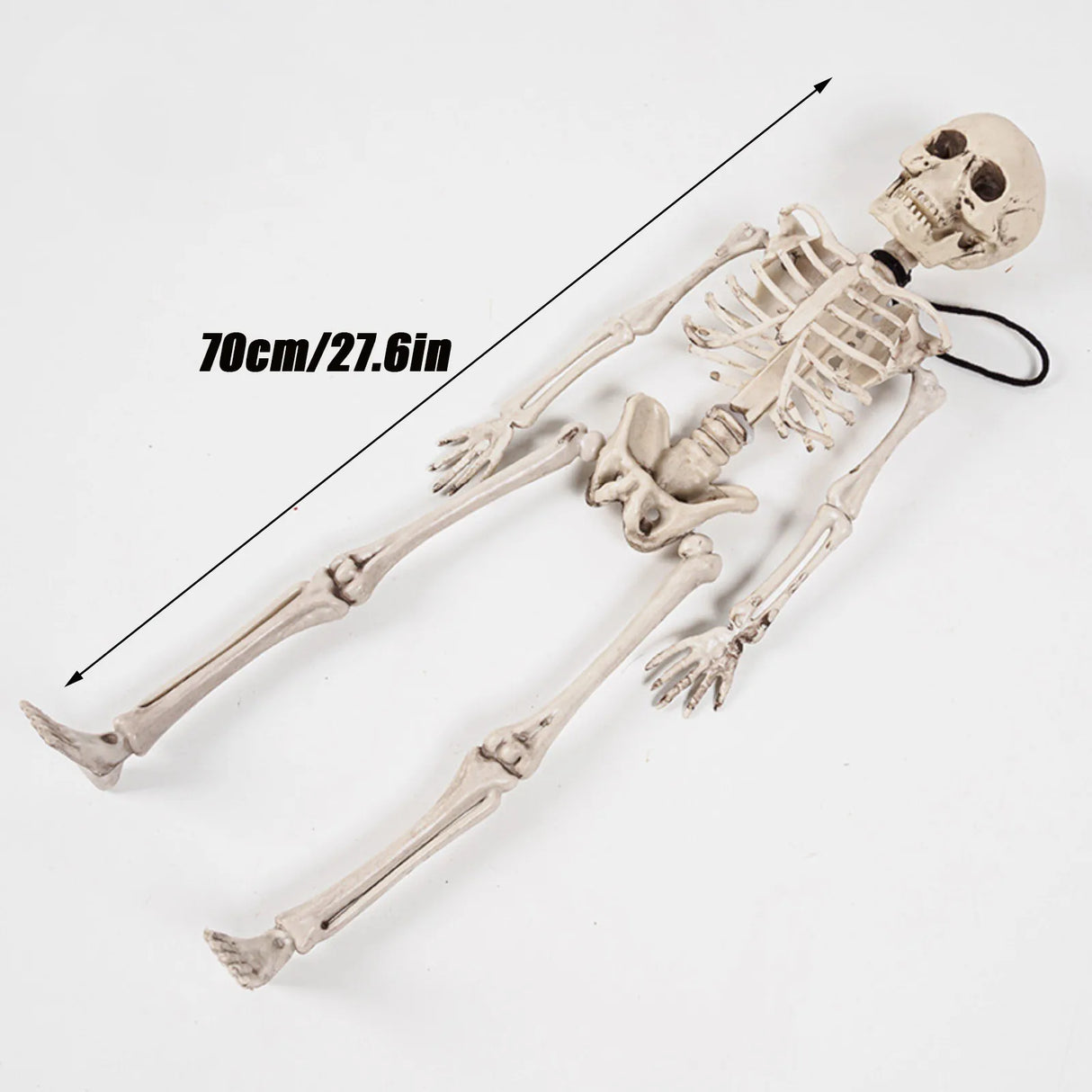 イベント・ハロウィングッズ|70cm ホラー スケルトン