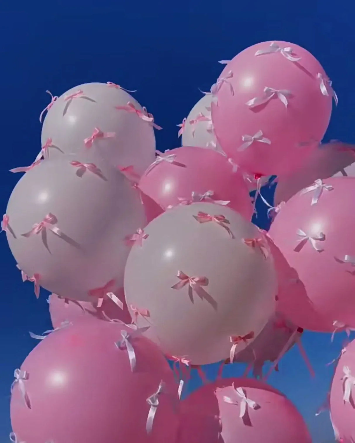 イベント・バルーン装飾 |リボン付きバルーンセット| 5個