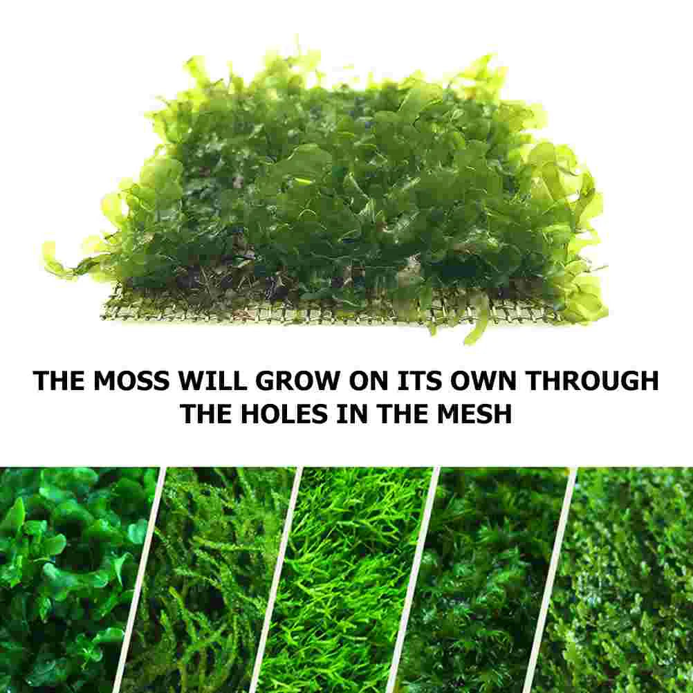 多機能ステンレスメッシュ モスネット12個セット