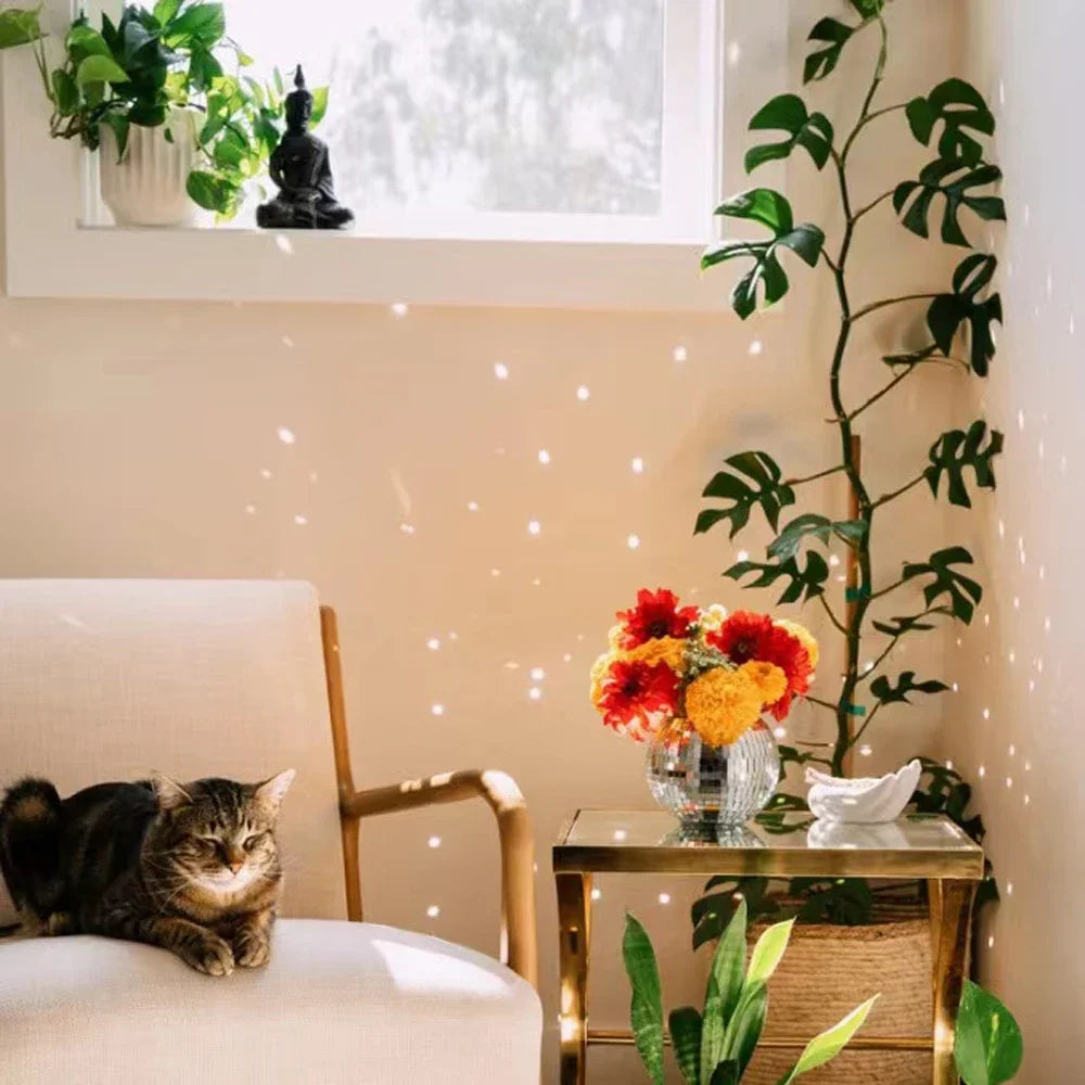 20CM・バスケット・ディスコボール・ハンギングプランター