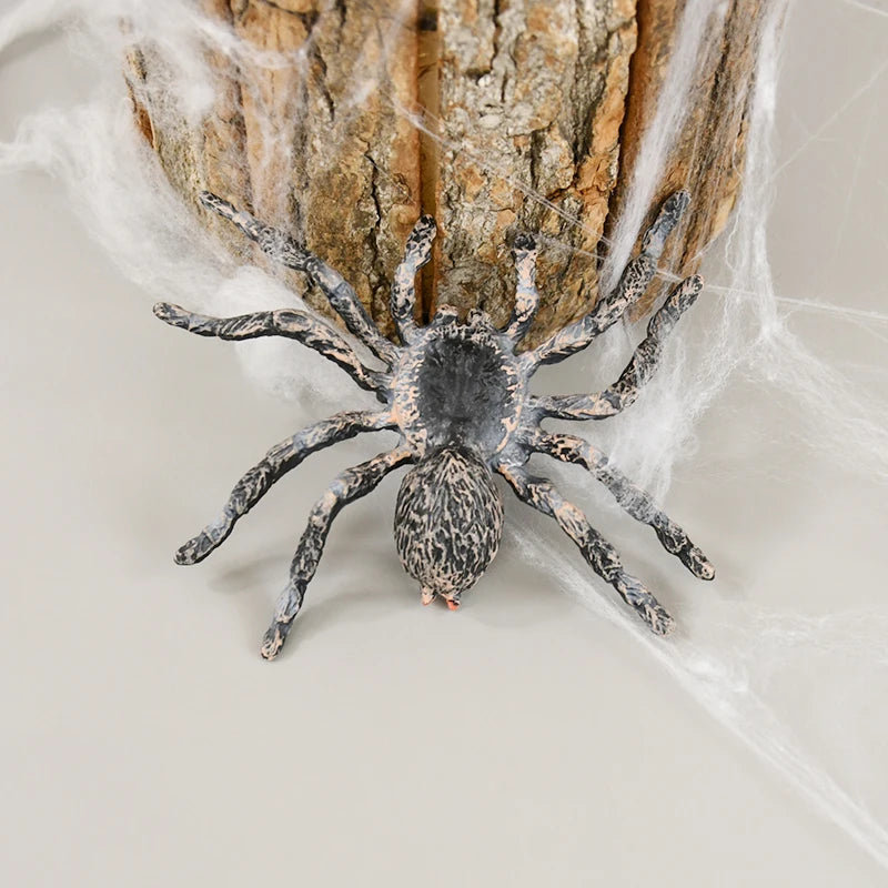 イベント・ハロウィングッズ|プラスチック製クモ模型