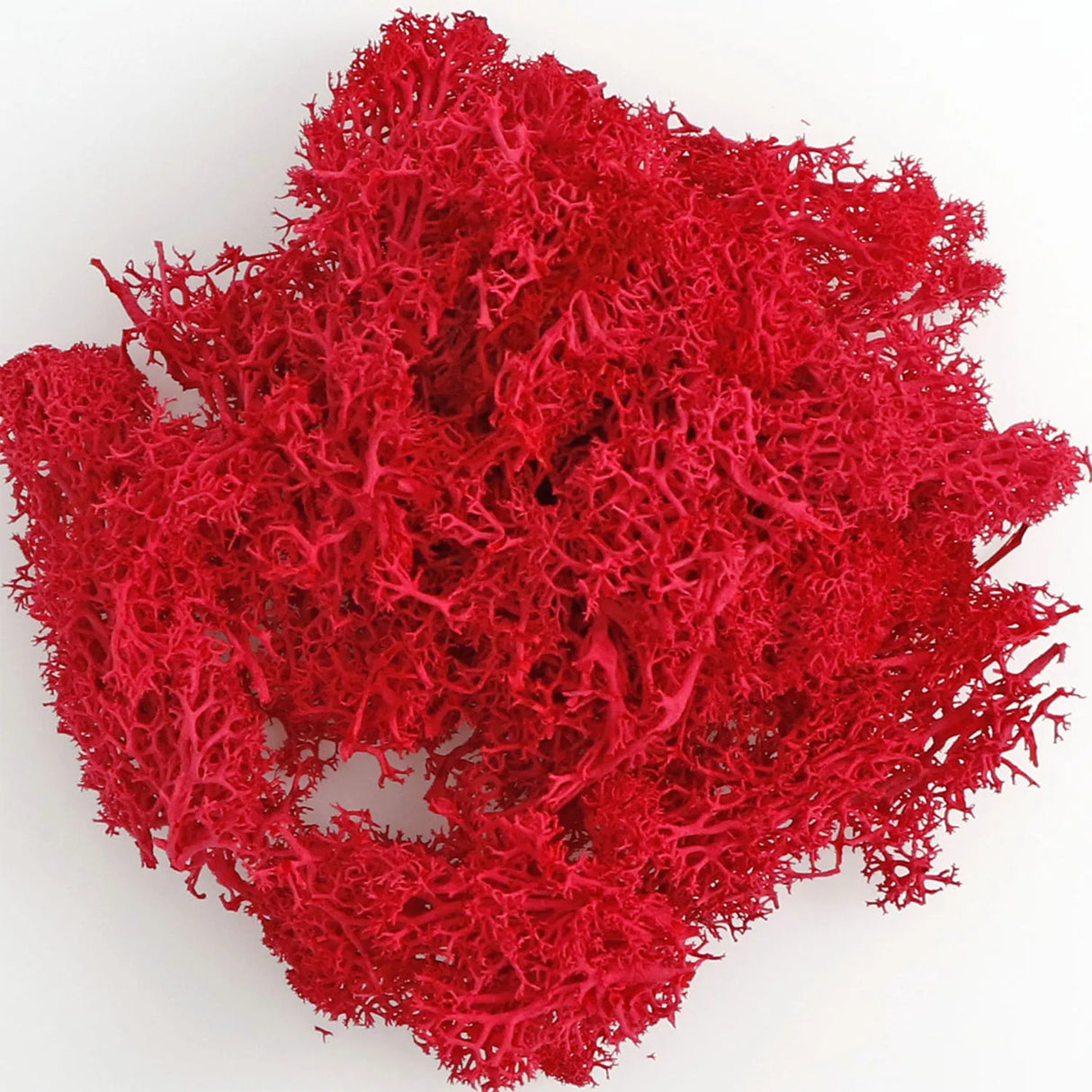 500g・1000g・ミニ風景フェイクグラス・永遠の命