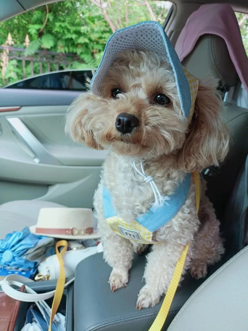 小型・中型犬用ペットハーネスリーシュセット