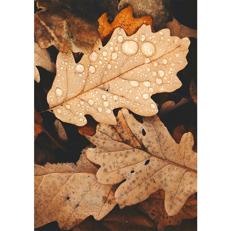 イベント・ハロウィングッズ|秋の風景キャンバスアート