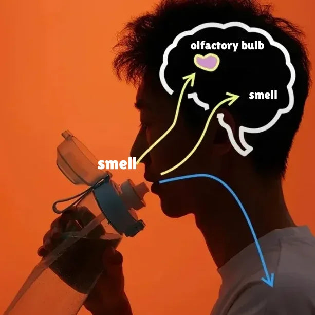 |イベント・ノベルティ用品 | フルーツフレーバーウォーターボトル | 750ml