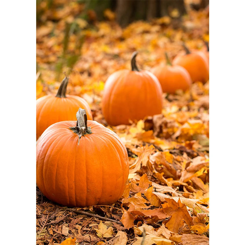 イベント・ハロウィングッズ|秋の風景キャンバスアート