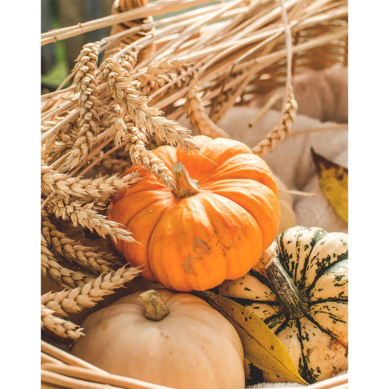 イベント・ハロウィングッズ|秋の風景キャンバスアート