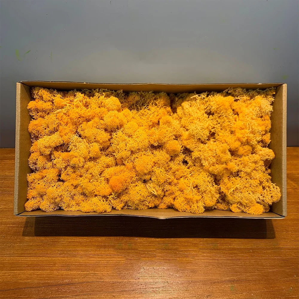 500g・1000g・ミニ風景フェイクグラス・永遠の命