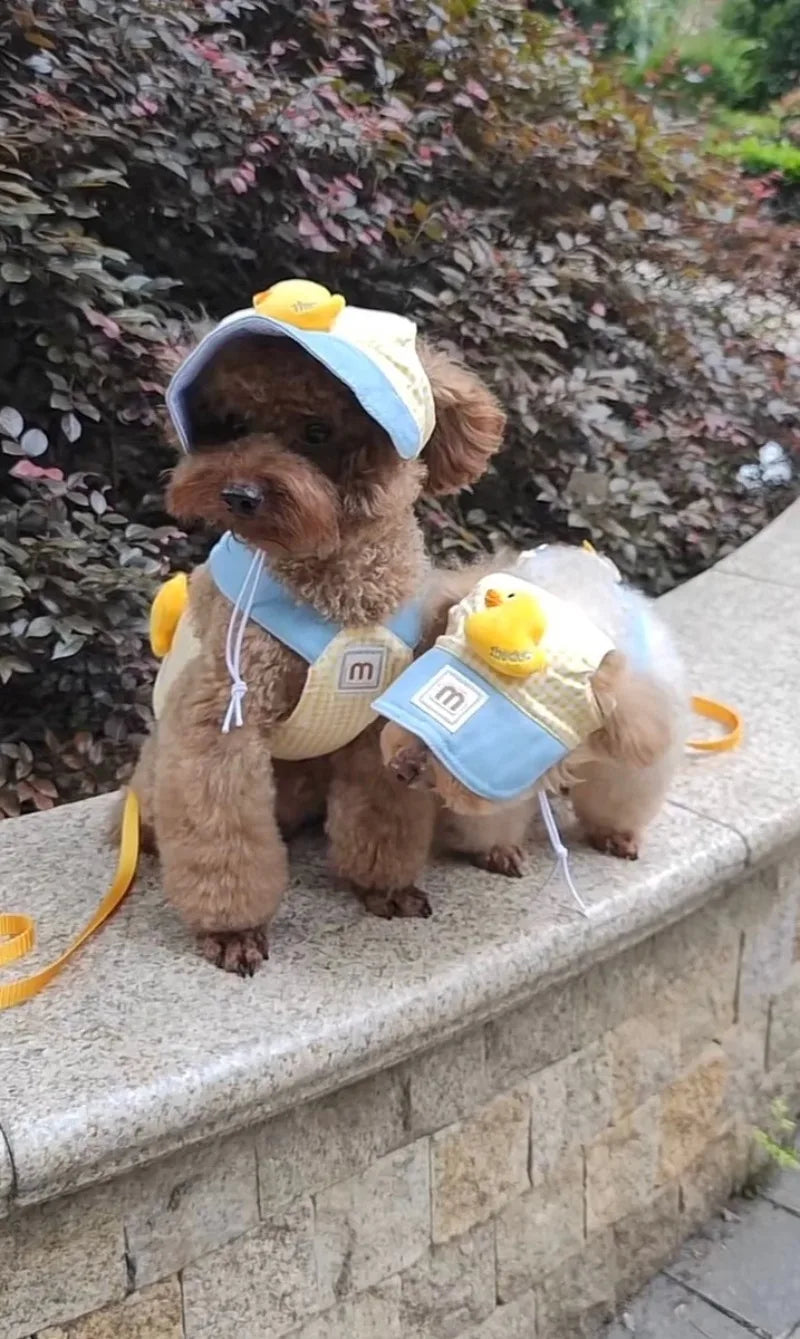 小型・中型犬用ペットハーネスリーシュセット