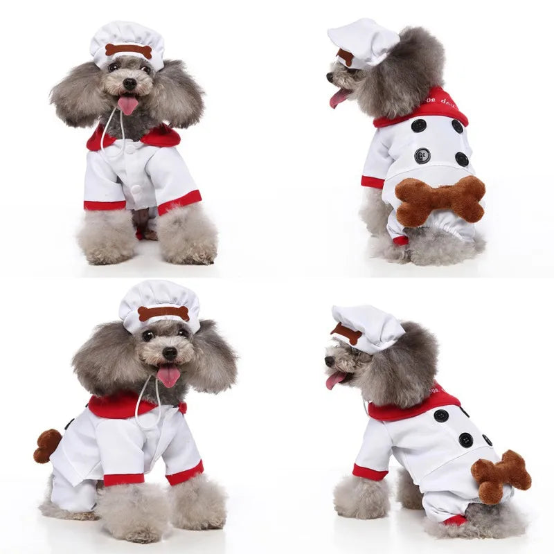 イベント・ハロウィングッズ|犬猫用コスチューム 多彩デザイン